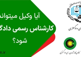 ایا وکیل میتواند کارشناس رسمی دادگستری باشد؟