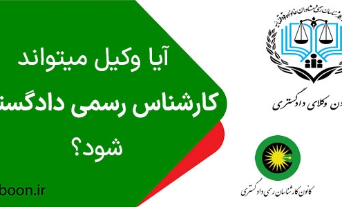 ایا وکیل میتواند کارشناس رسمی دادگستری باشد؟
